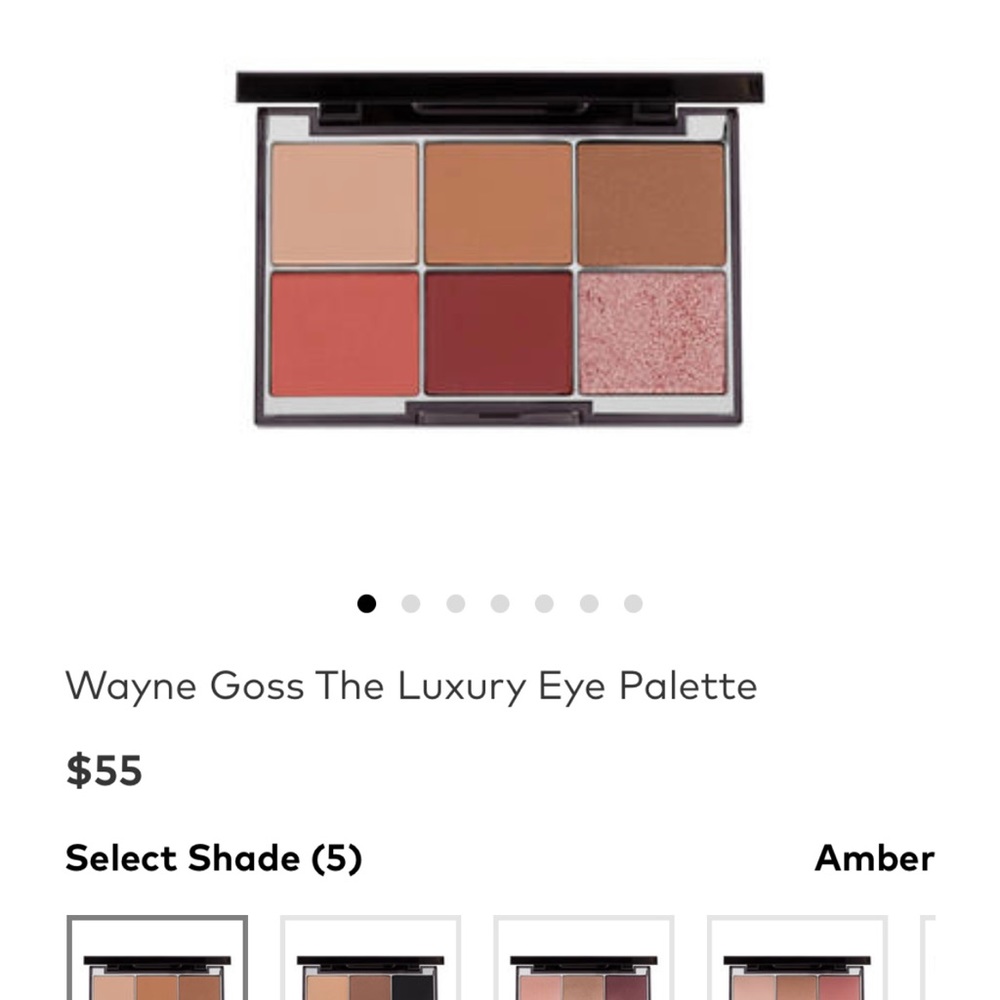 NIB Wayne Goss The Luxury Eyeshadow Palette in Amber